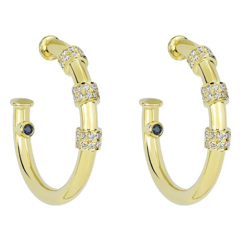 Best hoop earrings with matching bracelets for a coordinated jewelry set-Earrings - Blue Sapphire And Diamond